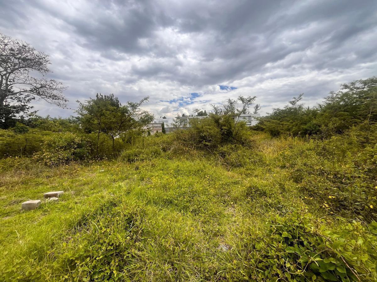 Terreno de Venta en Puembo en Urbanización Via Arrayanes — imagen 4