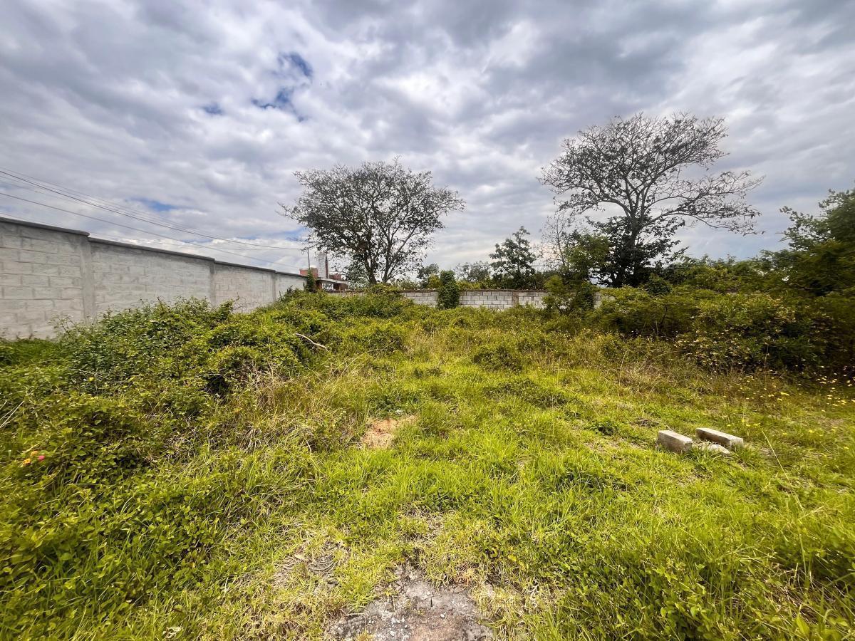Terreno de Venta en Puembo en Urbanización Via Arrayanes — imagen 3