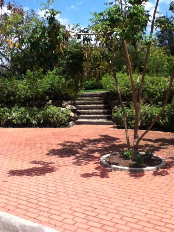 Tumbaco Terreno con Concepto Ecologico de Venta en Urb. Exclusiva (Unifamiliar) — imagen 3