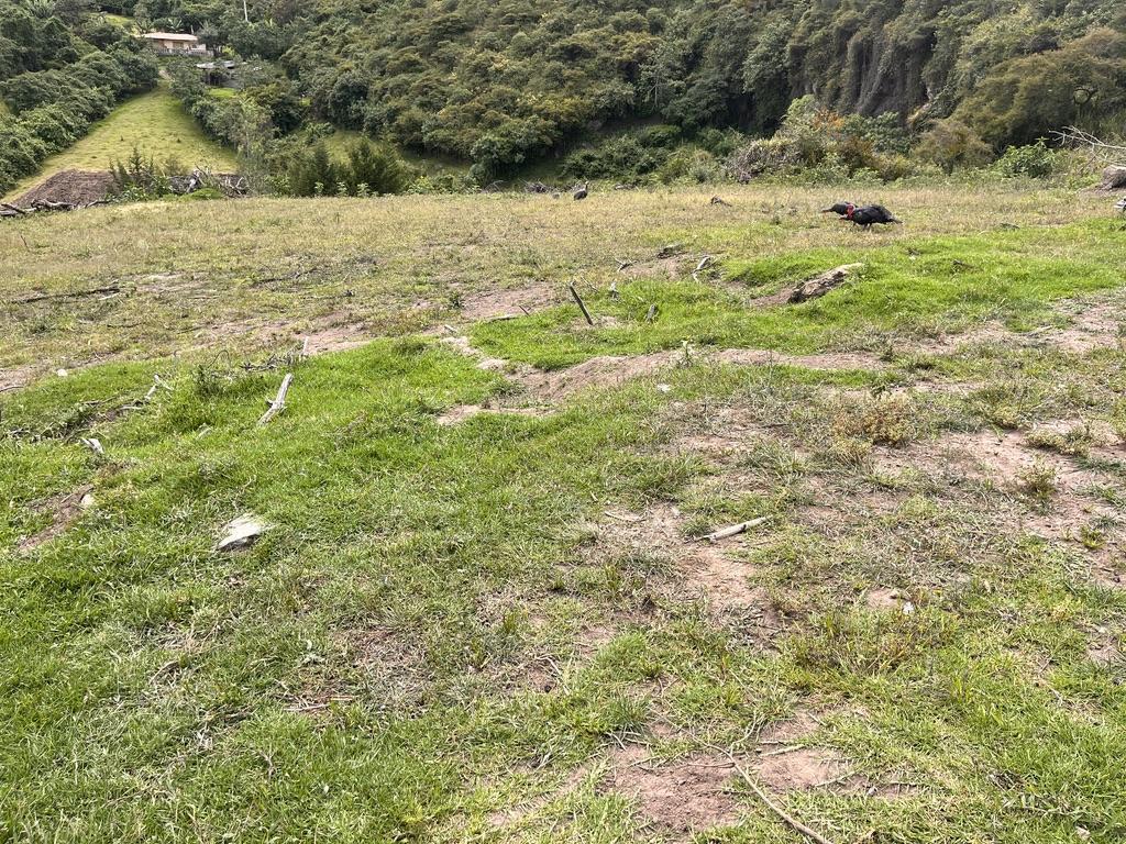 Terreno de 3579 m² de Venta en Pifo en Urbanización — imagen 5