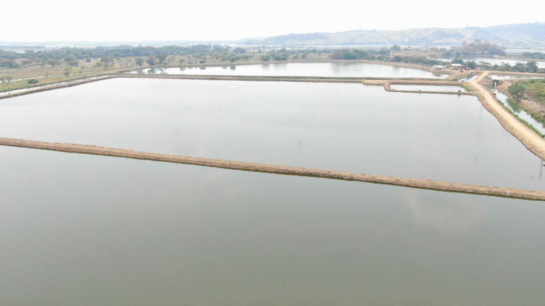 Camaronera de Venta en Chone Manabi, Manabí — imagen 5