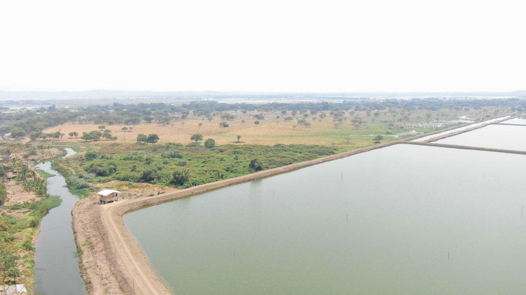 Camaronera de Venta en Chone Manabi, Manabí — imagen 4