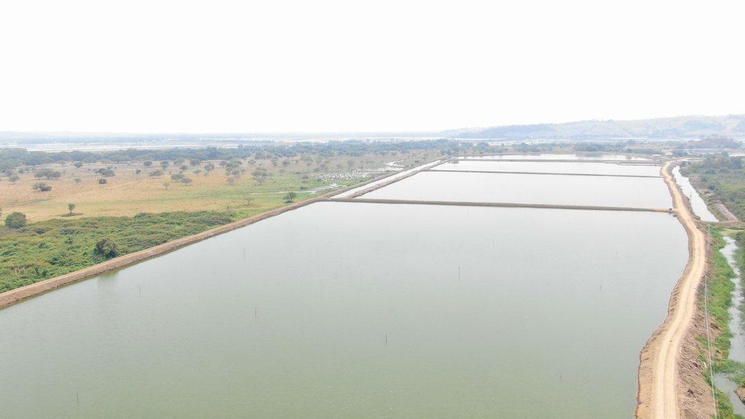 Camaronera de Venta en Chone Manabi, Manabí — imagen 3