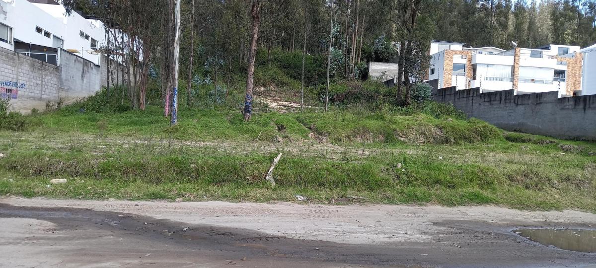 Terreno 2.500 m² - La Armenia - Valle de Los Chillos — imagen 4