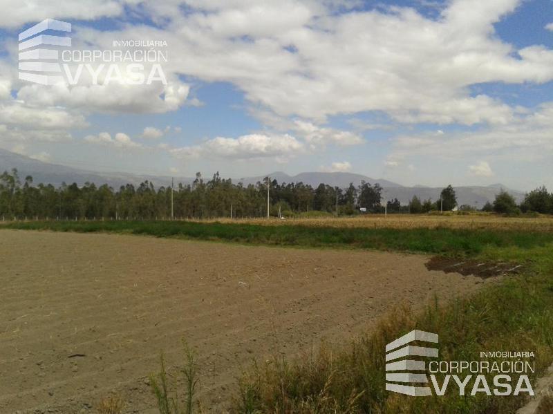 Tababela, Terreno de Venta Totalmente Plano 5 Has — imagen 5