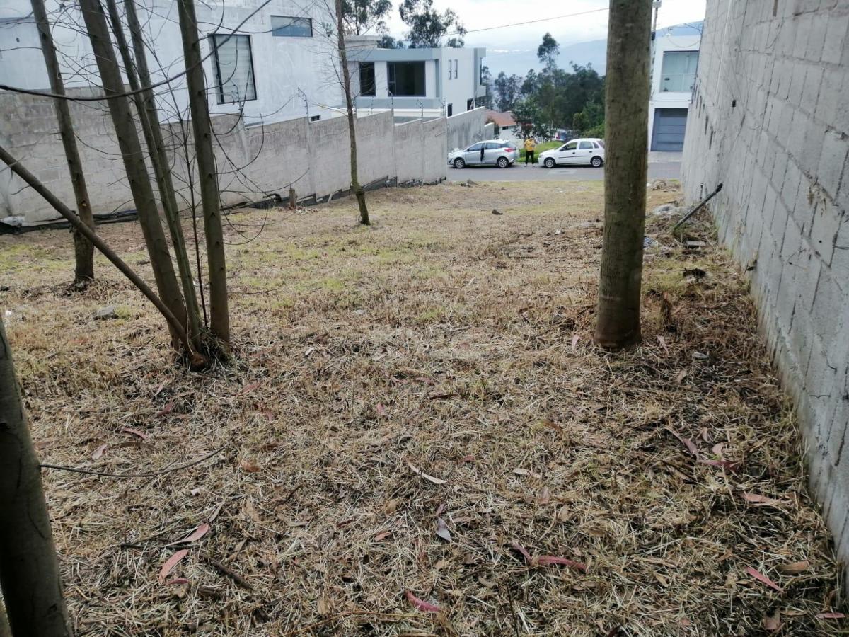 Venta de Terreno — imagen 5