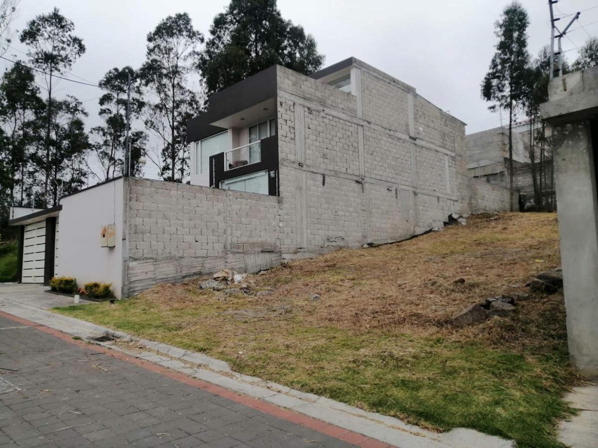 Venta de Terreno — imagen 3