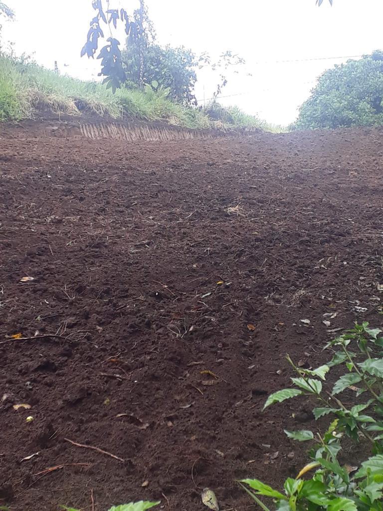 Terreno de Venta en Pedro Vicente Maldonado de 1245 m² — imagen 3