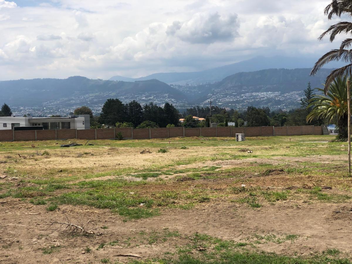 Terrenos de Venta en Puembo — imagen 4