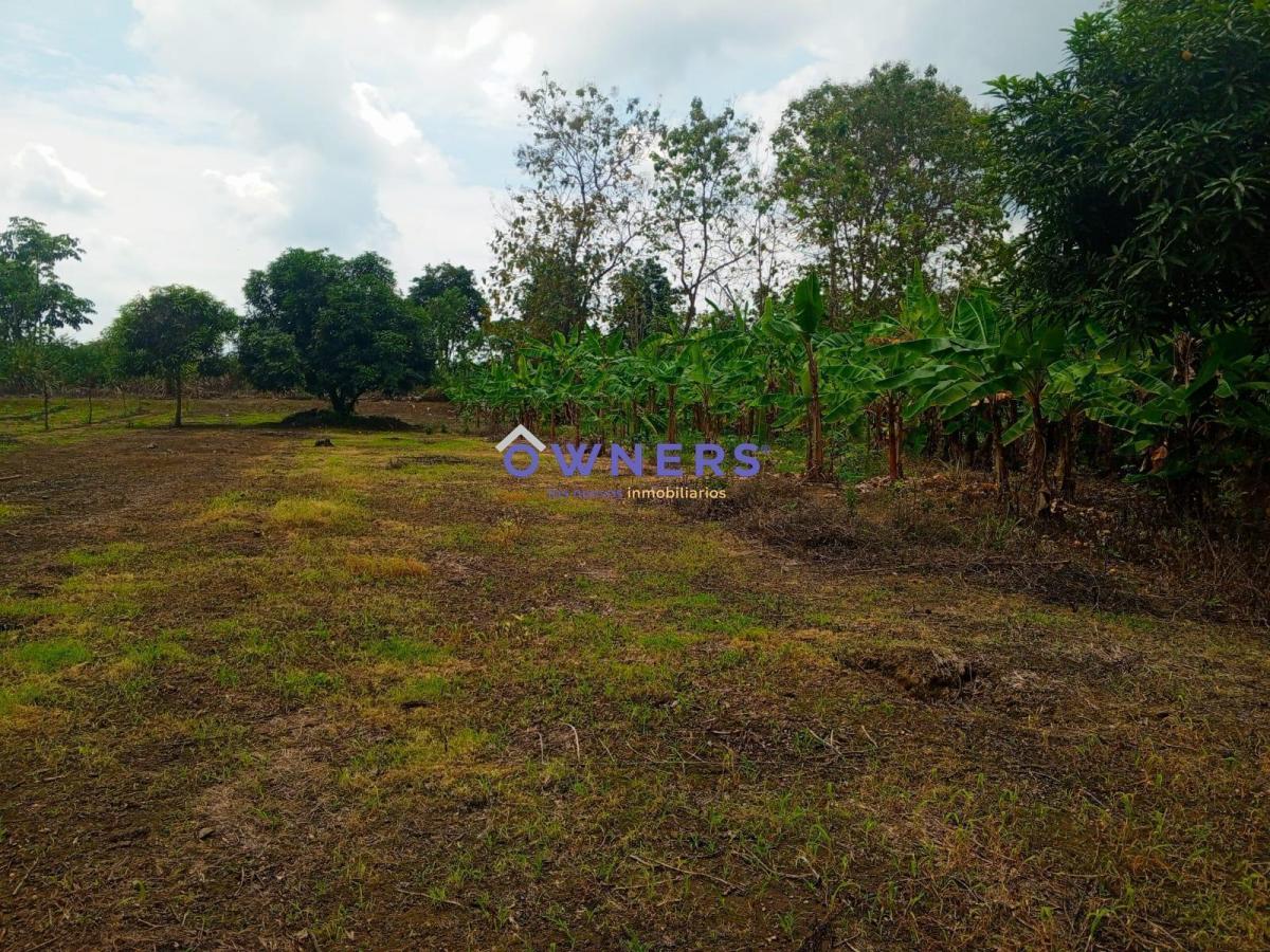 Venta Terreno Km 26 Via Duran Yaguachi a Lado del Iniap (Age), Guayas — imagen 3