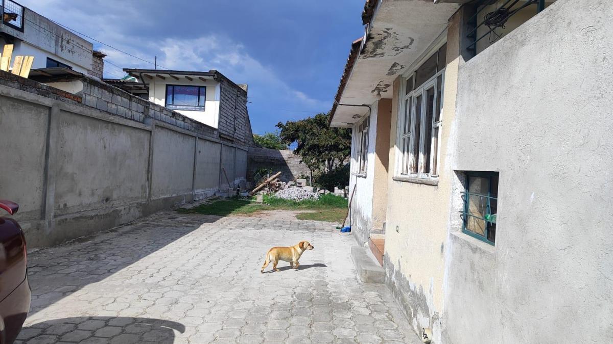 En Venta Terreno con Casa Para Proyecto San Isidro — imagen 5