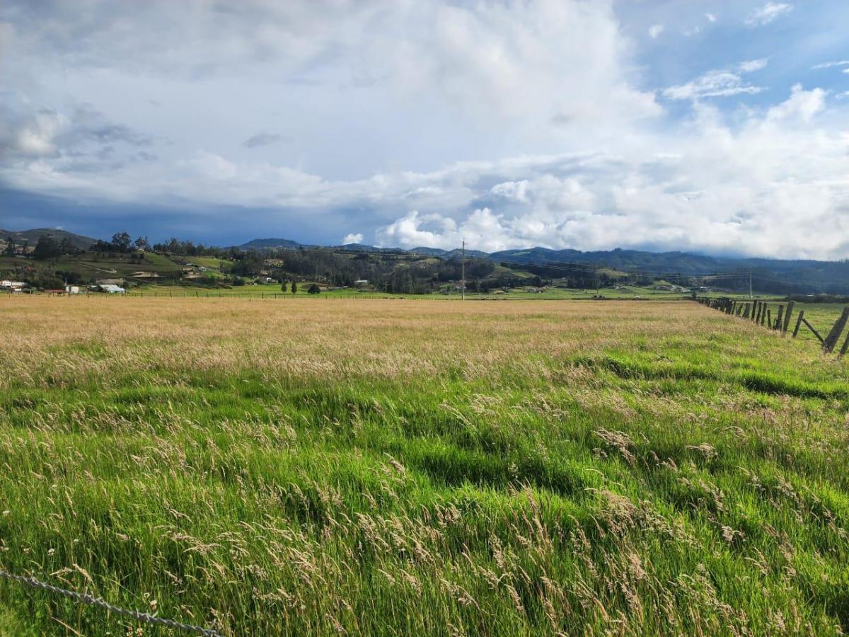 En Tarqui Terreno Plano en Venta con Frente a La Vía, Azuay — imagen 4