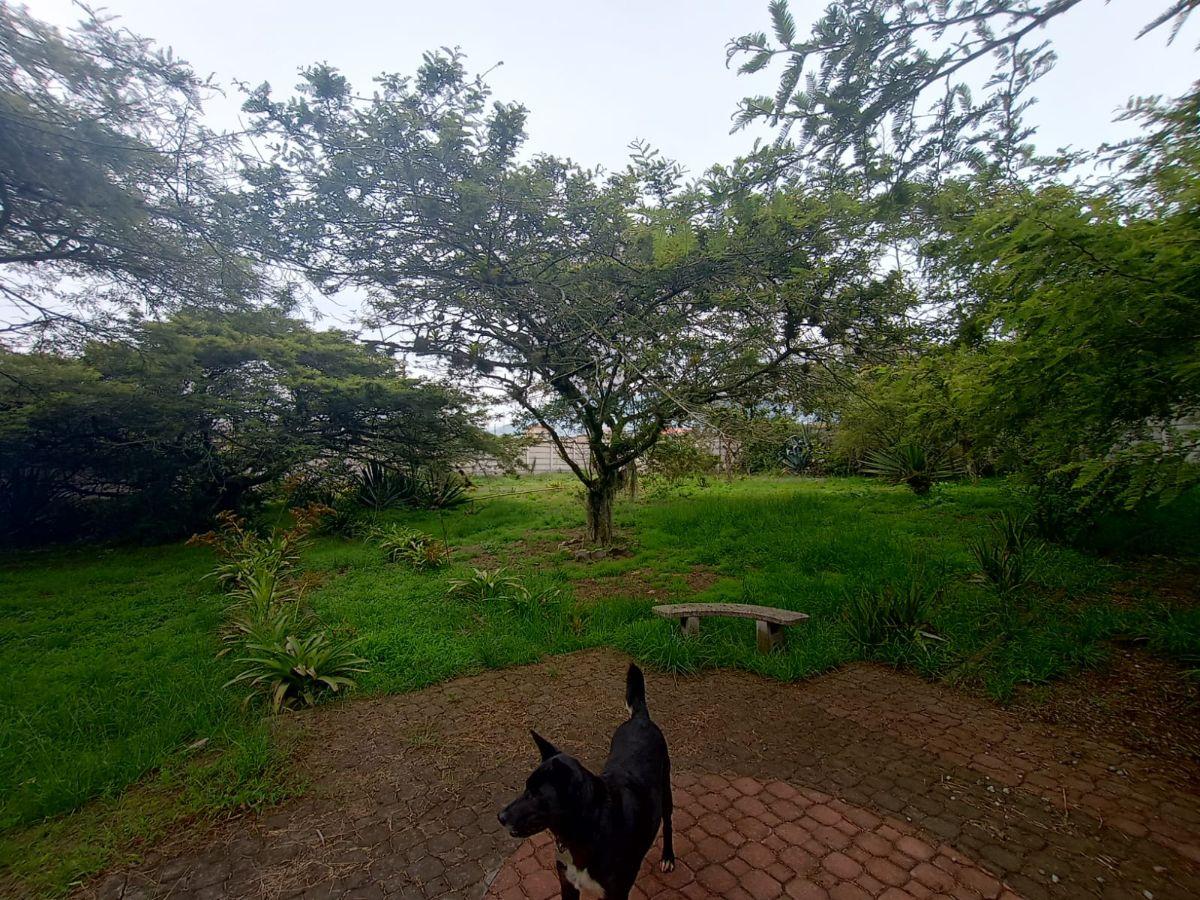 Vendo Terreno Plano 1.800 m² $88.200 en San Antonio de Pichincha - Mitad del Mundo Sector Rumicucho — imagen 9