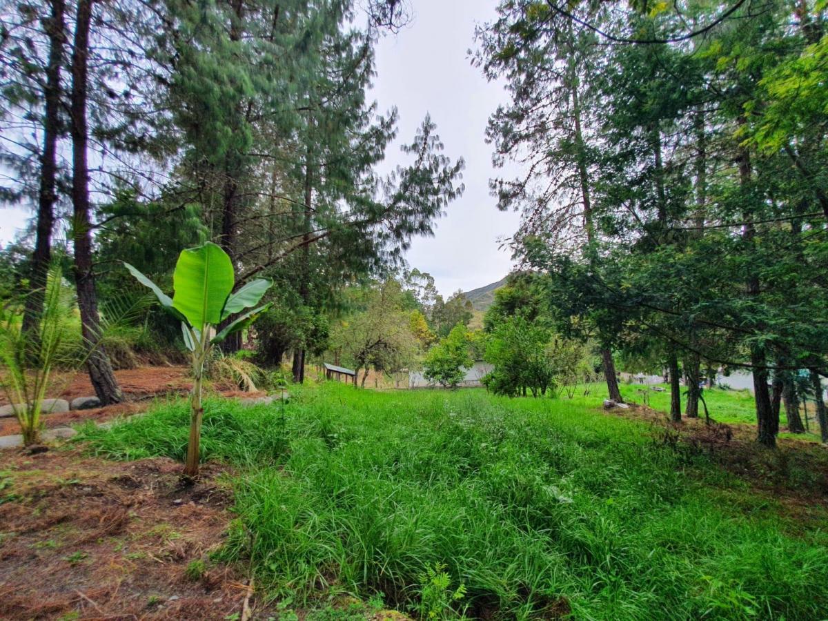 10 Hectáreas de Terreno en Venta en Sector Guagualzhumi, Azuay — imagen 4