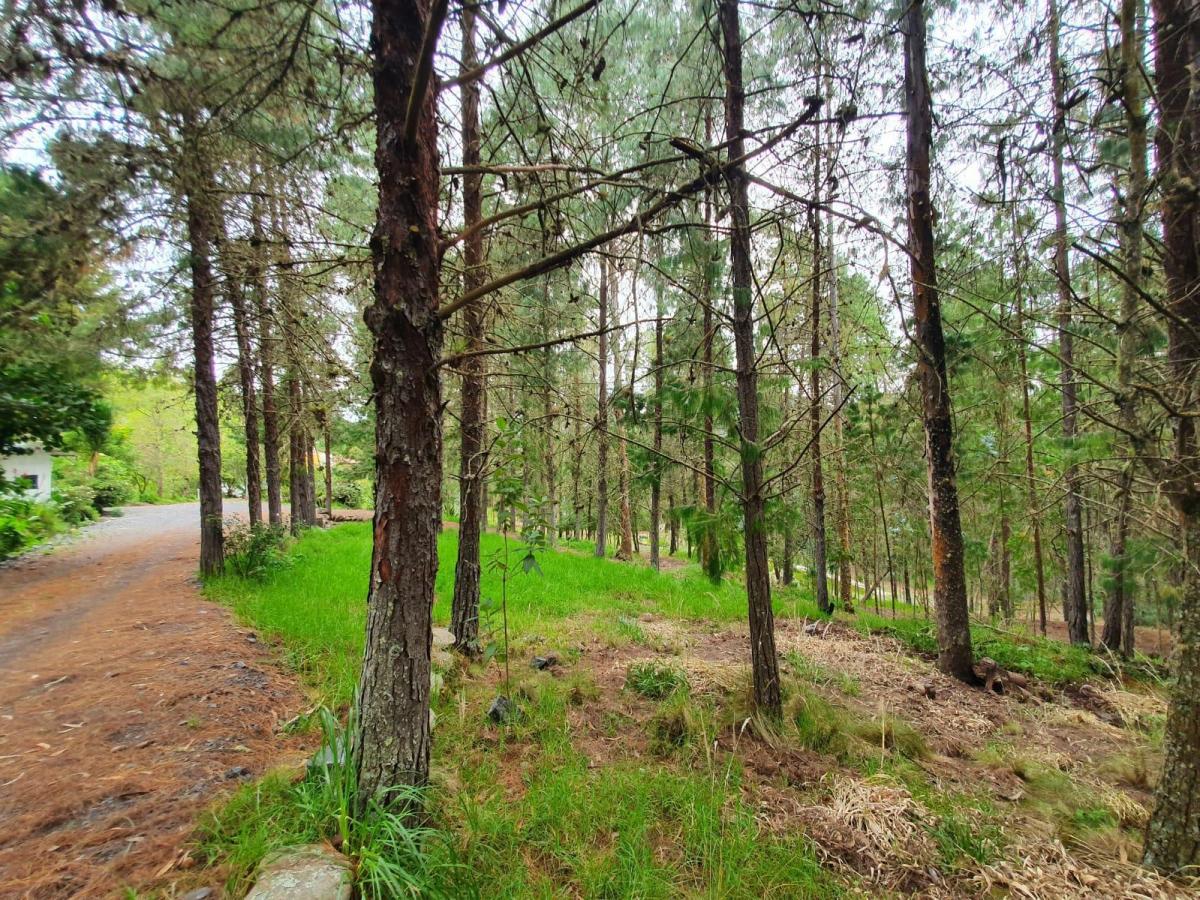 10 Hectáreas de Terreno en Venta en Sector Guagualzhumi, Azuay — imagen 3