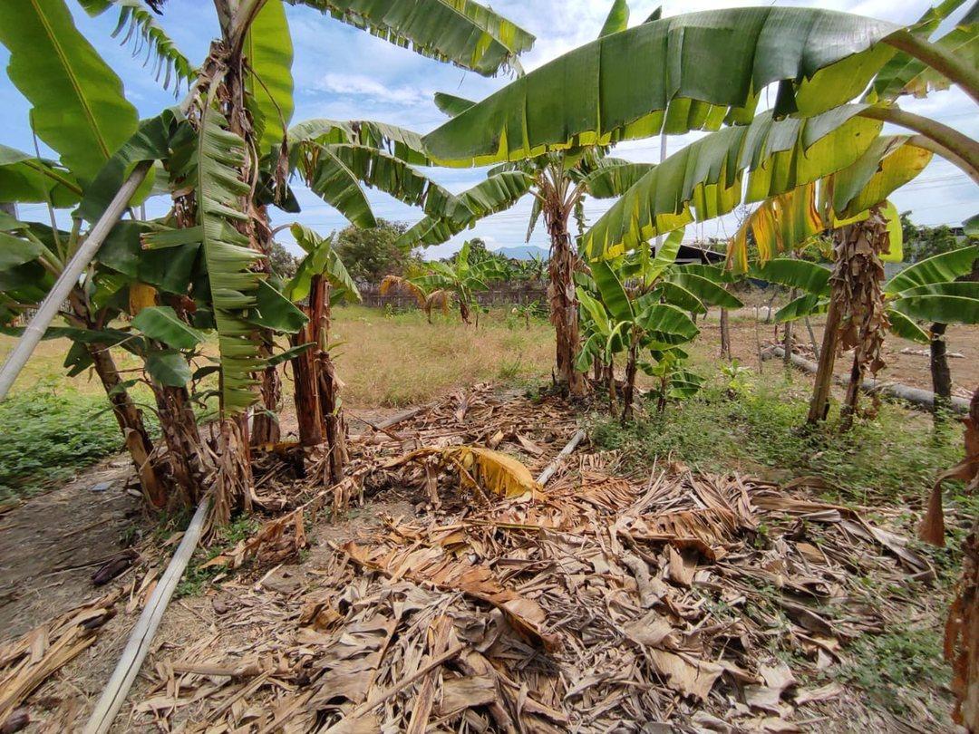 Terreno Esquinero de Venta Los Jazmines Portoviejo, Manabí — imagen 5