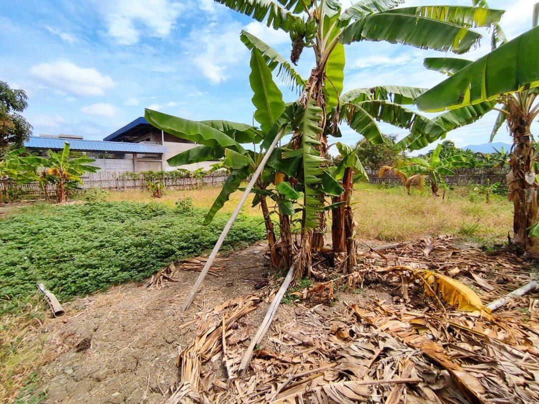 Terreno Esquinero de Venta Los Jazmines Portoviejo, Manabí — imagen 4