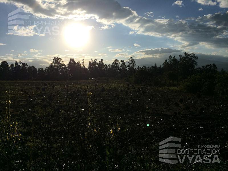 Tababela - Cerca Al Aeropuerto Mariscal Sucre, Terreno de 2 Has en Venta — imagen 6