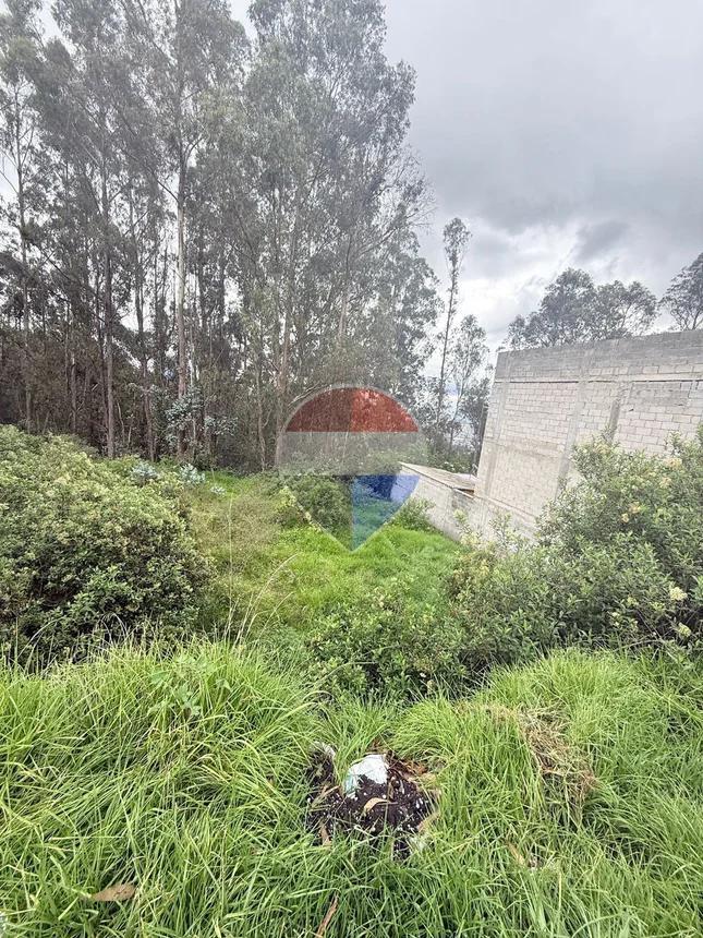 Terreno en Venta Buenos Aires San Isidro del Inca — imagen 4