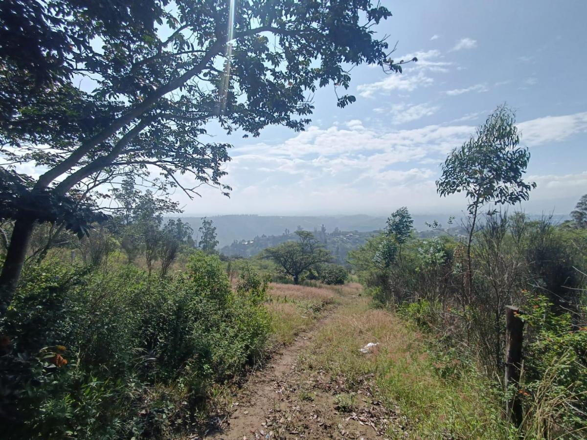 1000 m² de Terreno con Cerramiento y Frente a La Calle en Nayon — imagen 3