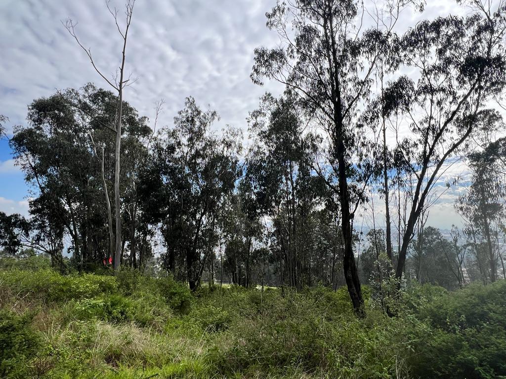 Terreno en Venta Para Proyecto: Inmobiliario / Inversión / Comercial — imagen 4