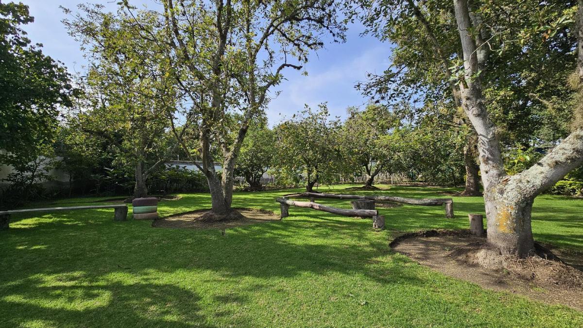 Venta Terreno con Árboles Frutales en Guayllabamba un Solo Dueño, Ideal Como Inversión — imagen 5