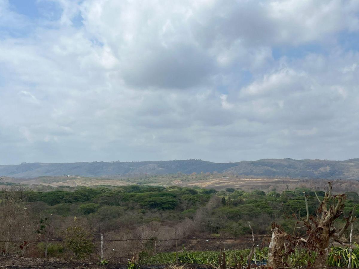 Vendo Terrenos Agricolas en Sector Chongon Guayaquil, Guayas — imagen 5