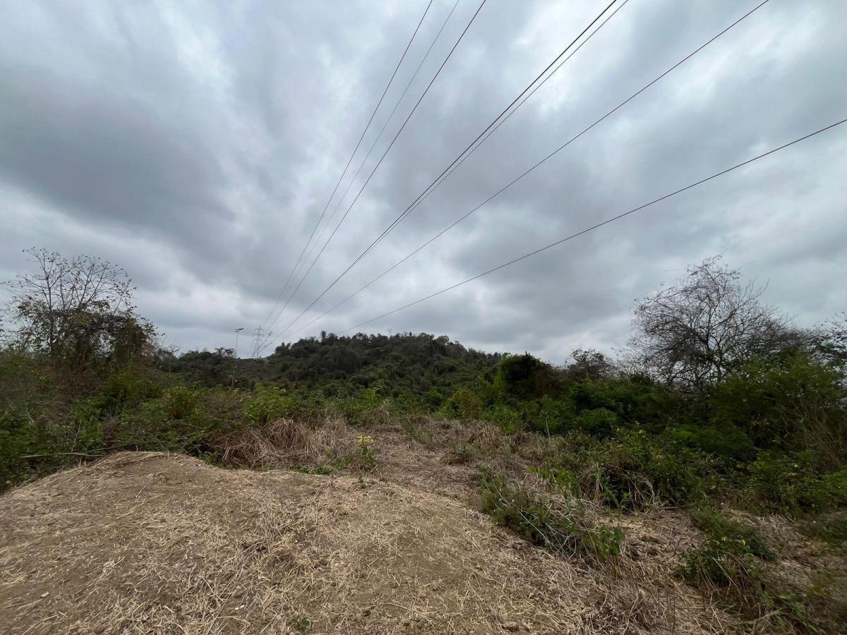 Vendo Terrenos Agricolas en Sector Chongon Guayaquil, Guayas — imagen 4