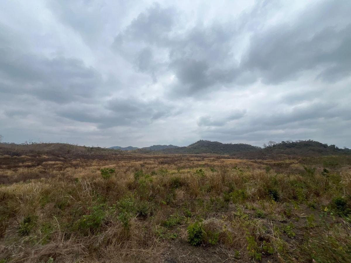 Vendo Terrenos Agricolas en Sector Chongon Guayaquil, Guayas — imagen 3