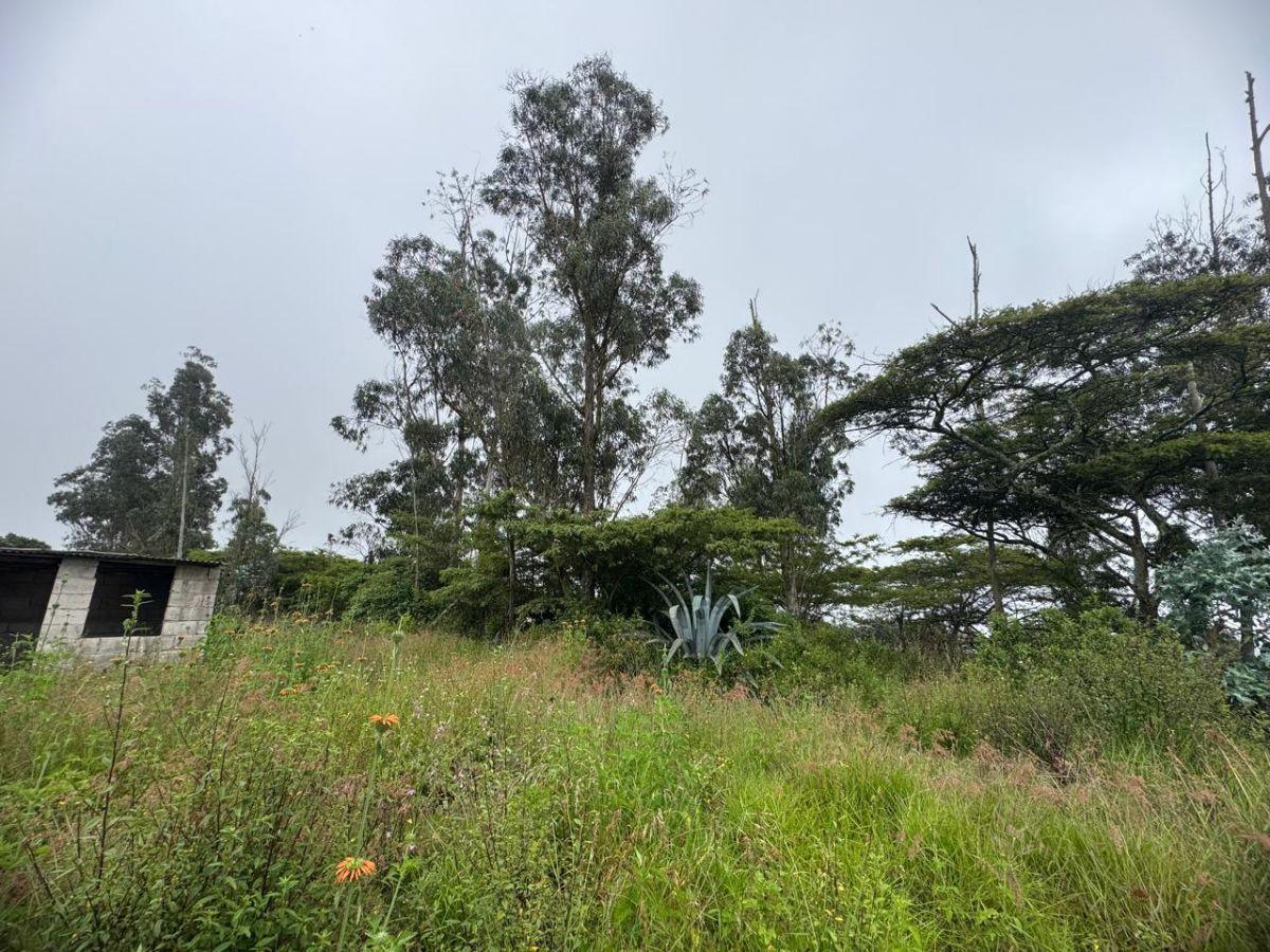 Terreno de 1057 m² en Venta en Llano Chico — imagen 4