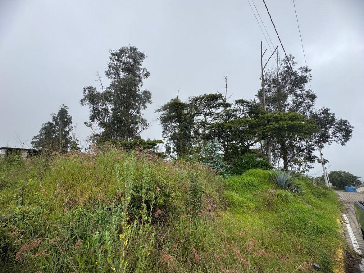 Terreno de 1057 m² en Venta en Llano Chico — imagen 3