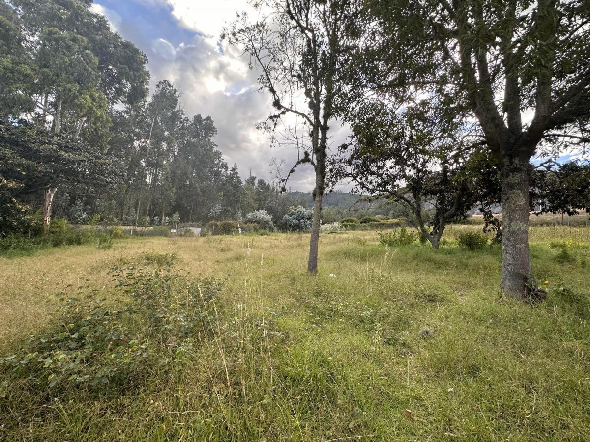 Venta Terreno Cumbaya Sector Yanazarapata — imagen 5