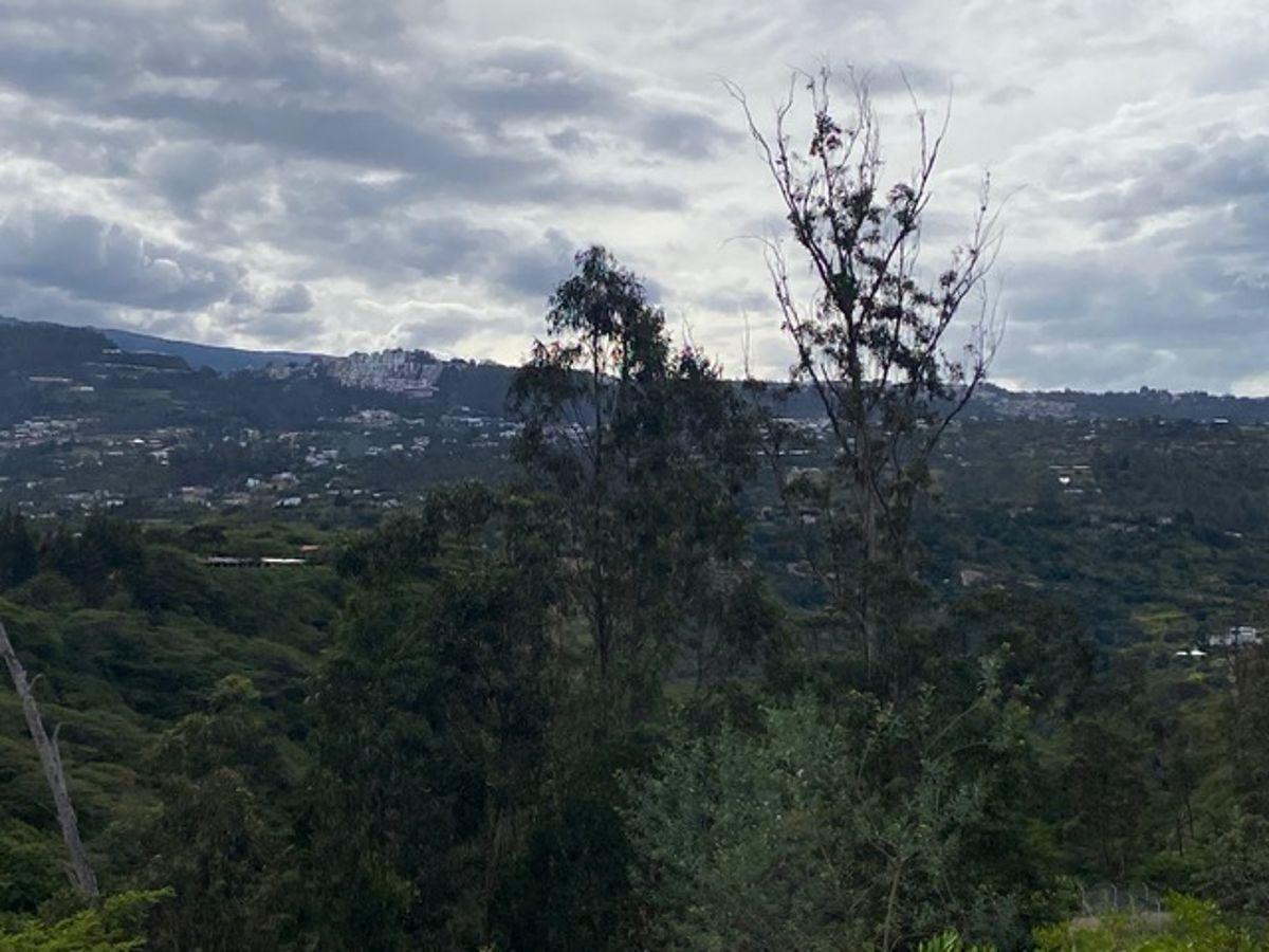 Espectacular Terreno en Urbanizacion Moderna y Exclusiva — imagen 5