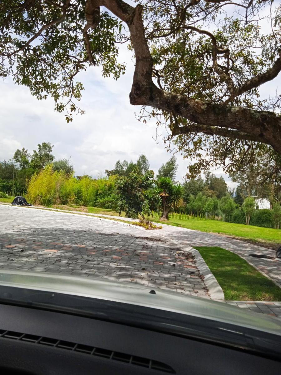 Lindo Terreno en Urbanización Exclusiva — imagen 5
