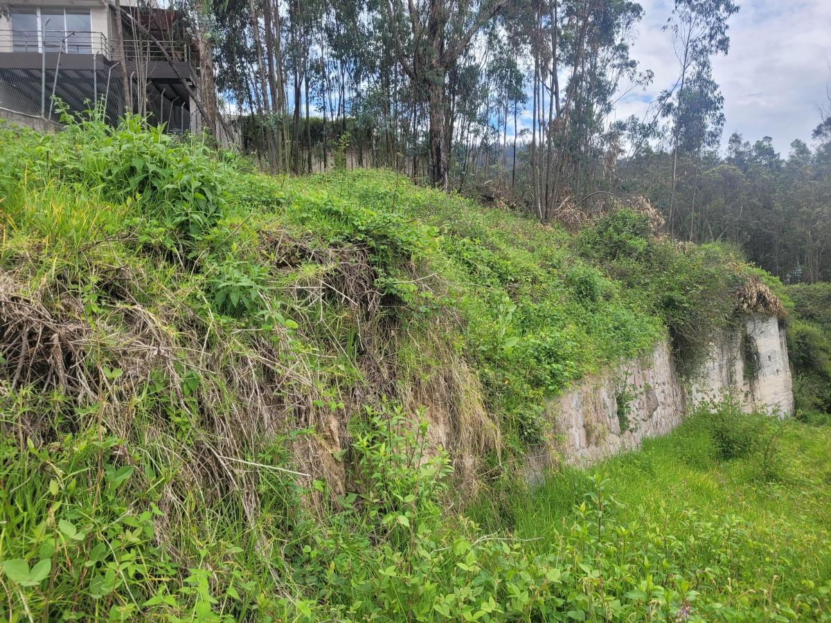 Terreno de Venta en Cumbaya — imagen 4