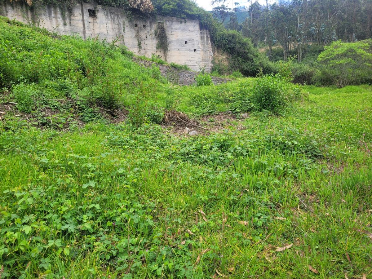 Terreno de Venta en Cumbaya — imagen 3
