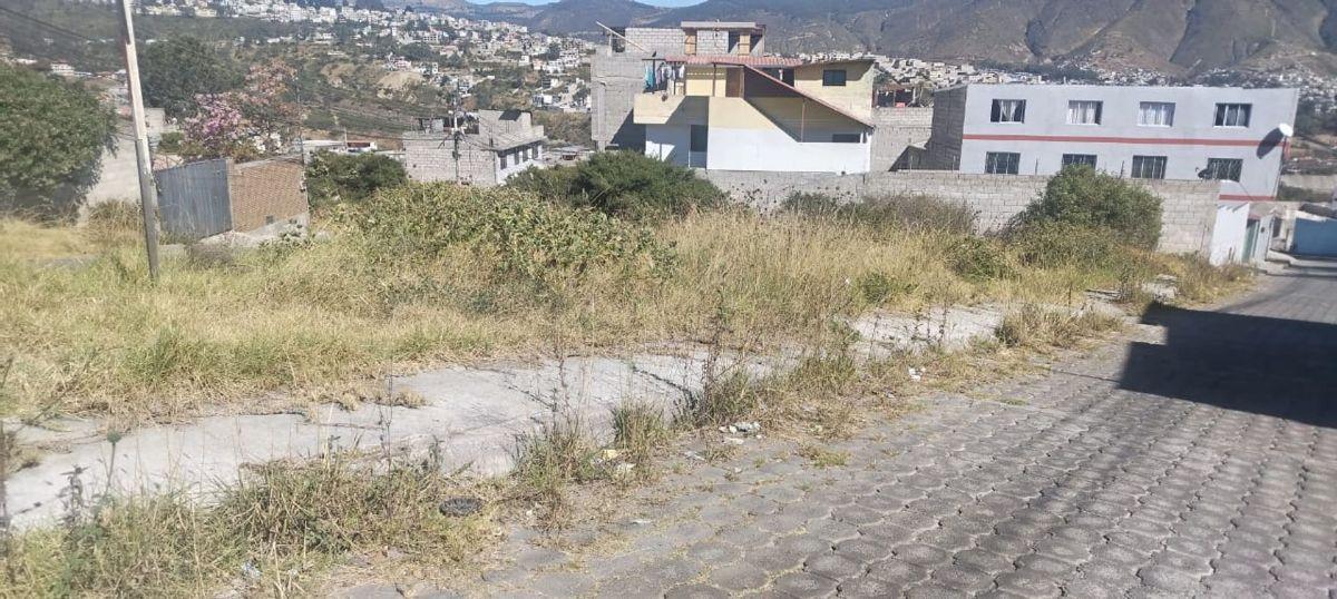 Terreno en Venta - Sector Calderon (406 M²) — imagen 10