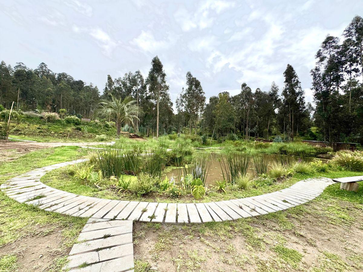 Terreno de Venta La Cerámica 2.257 m $496.000 — imagen 5