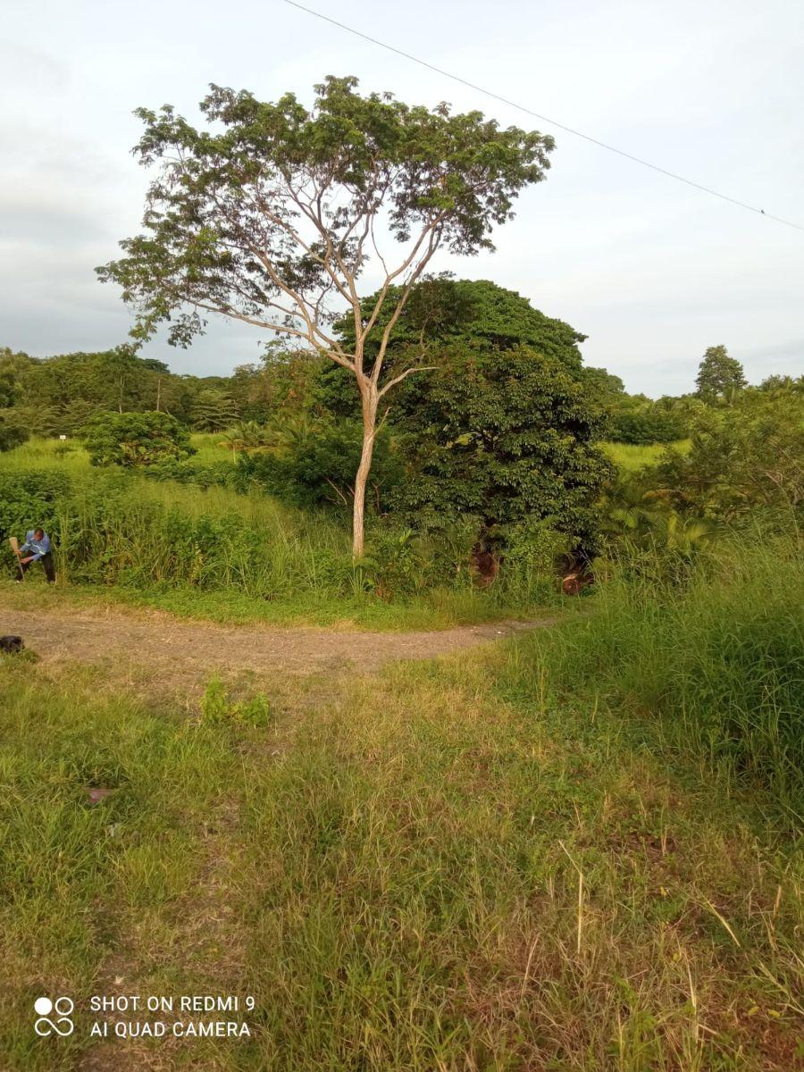 Venta 1.600.000 m² (160 Has) en Chongon - Daular, Cerca del Club de Aeromodelismo del Guyas, Guayas — imagen 5