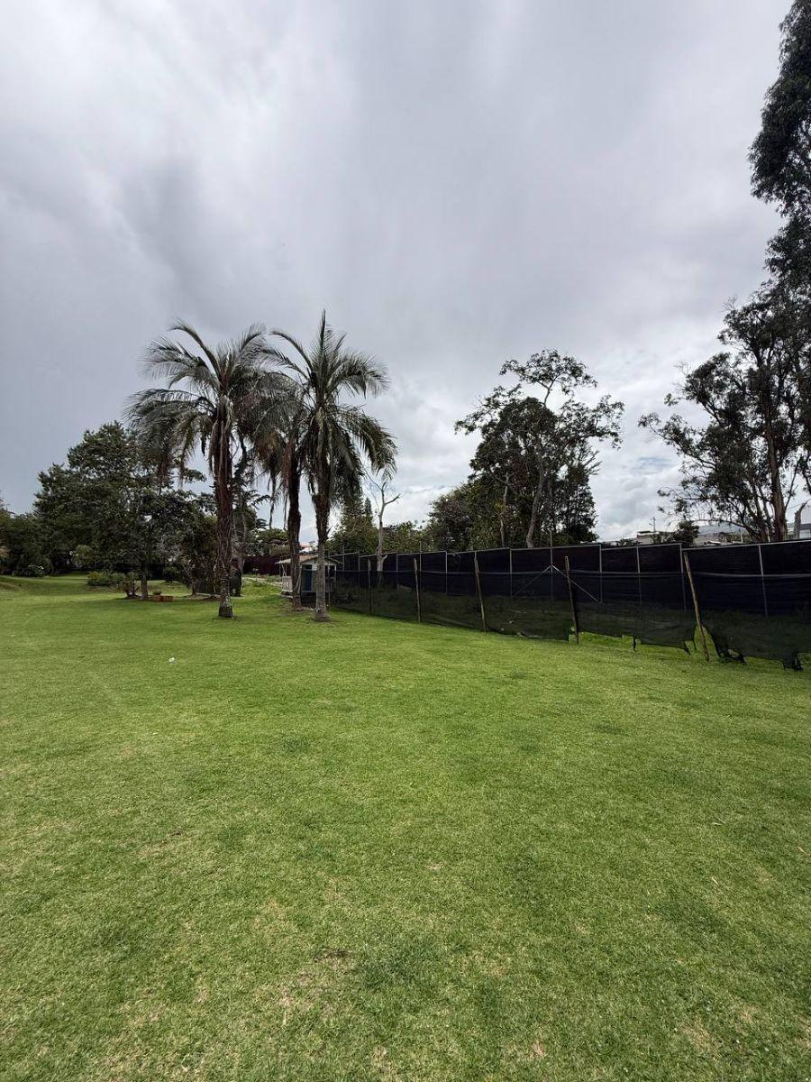 Terreno - en Venta - Tumbaco - 907 m² — imagen 3