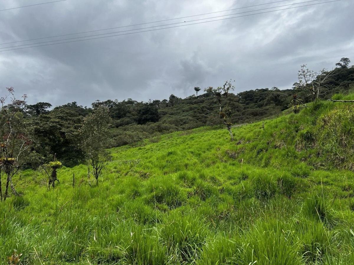 Terreno en Venta – Potencial Productivo y Turístico en Napo, Napo — imagen 5
