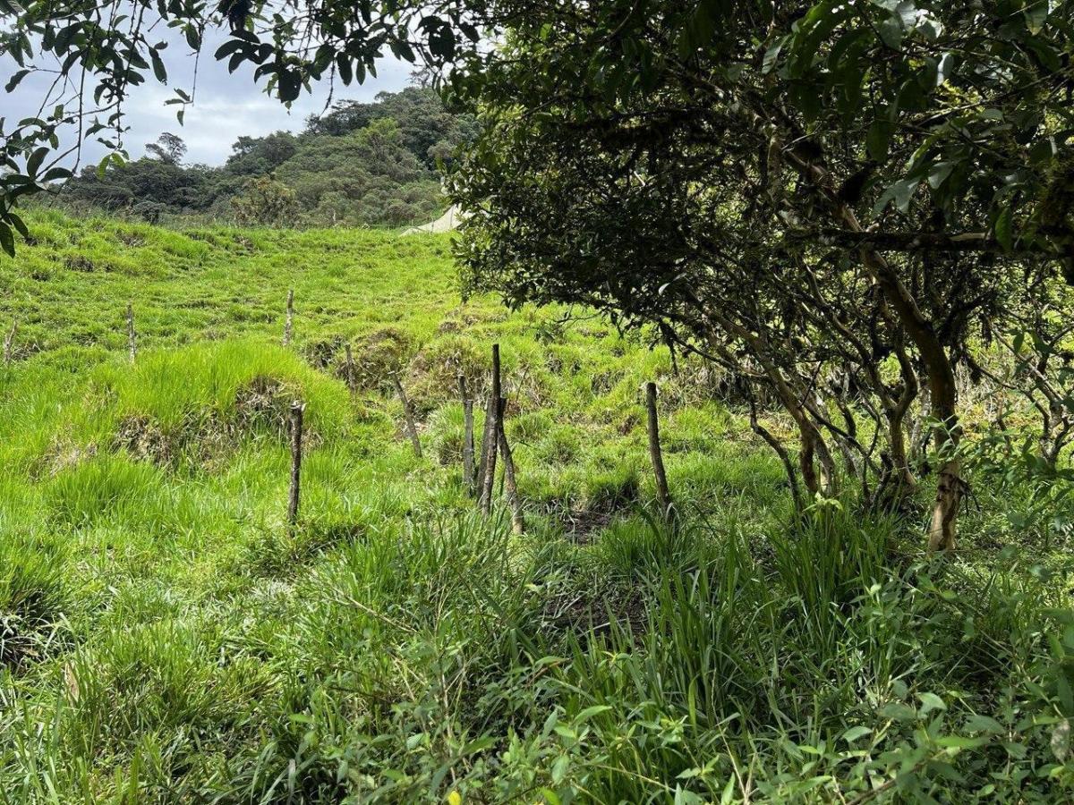 Terreno en Venta – Potencial Productivo y Turístico en Napo, Napo — imagen 4