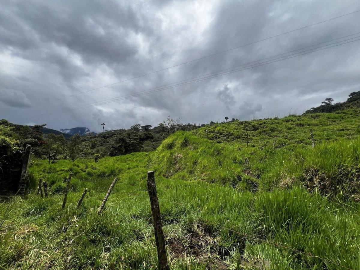 Terreno en Venta – Potencial Productivo y Turístico en Napo, Napo — imagen 3
