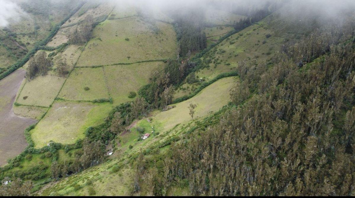 En Venta 14 Has Terreno Rural Produccion (Suelo Rural), Calacali $105.000 — imagen 4