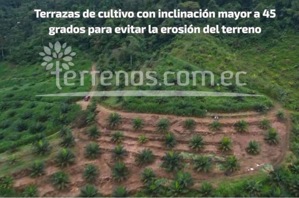 Terreno en Venta de 10 Has en Puerto Quito — imagen 4