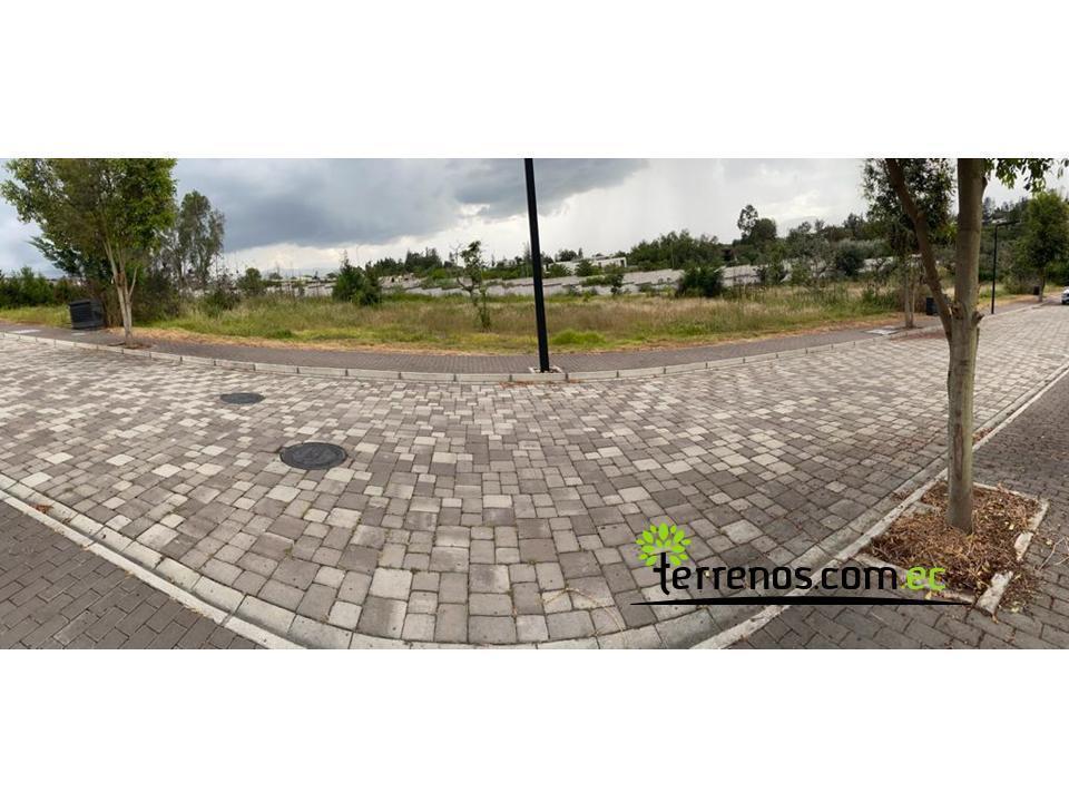 Terreno de Venta en Puembo 2.000 m². Urb. Valle Montana II — imagen 4