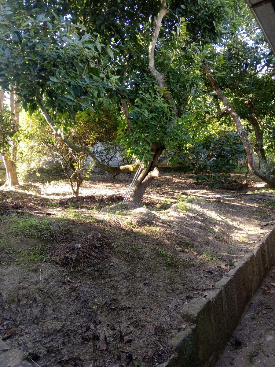 Propiedad de Venta en Guayllabamba — imagen 4