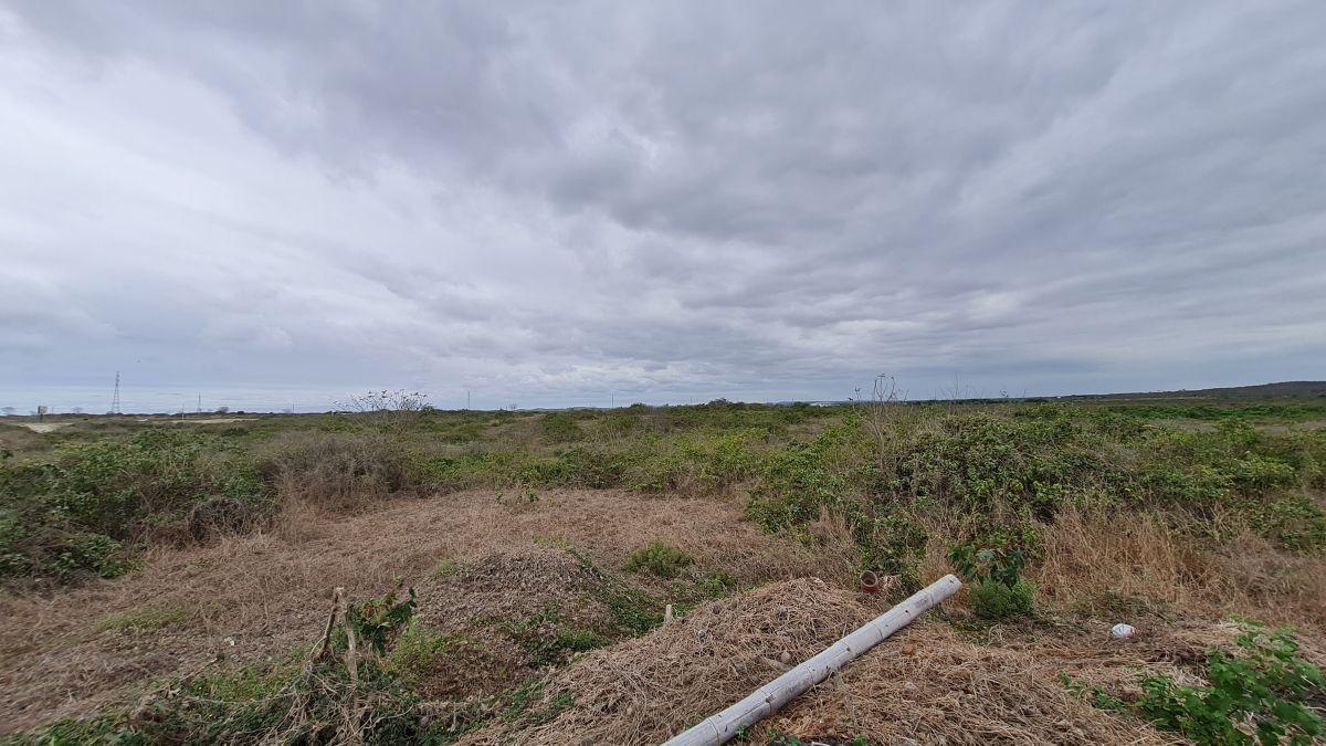 Terreno en Venta de 9.5 Hectáreas Al Pie de Carretera - Km. 5 Entrada a Santa Elena — imagen 5