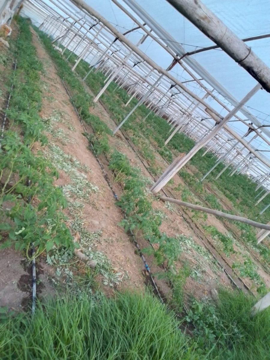 Venta Terreno Yaruki 10.565 m — imagen 5