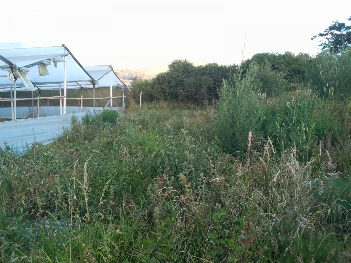 Venta Terreno Yaruki 10.565 m — imagen 3